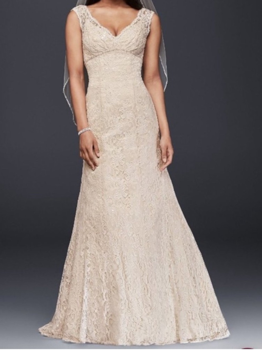 David's Bridal Ivory Lace V-Neck Wedding Dress
